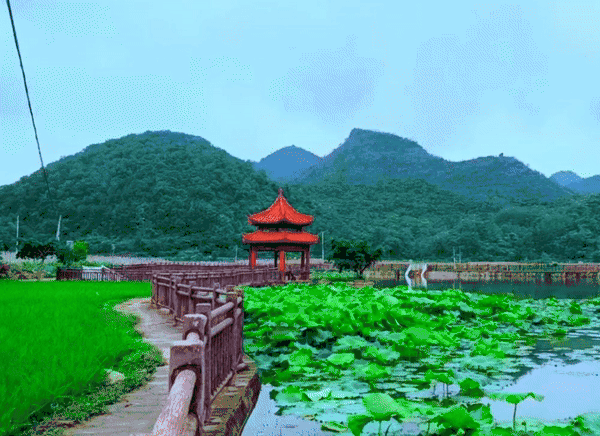 贵州安顺乡导1566号康养中心